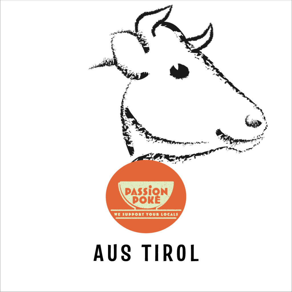 Brand Building, Content Design und Brand Identity für StartUp. Value und Promotion für Instagram