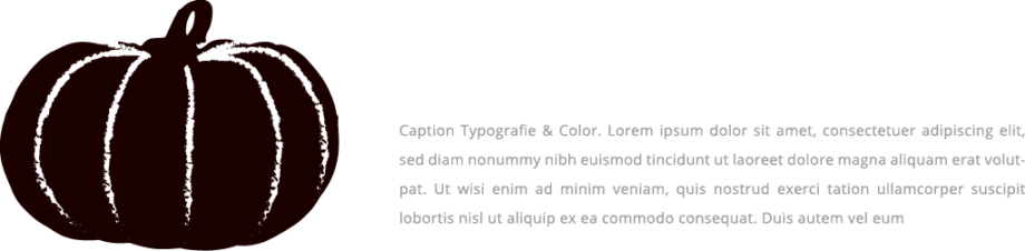 Illustration like a stamp, Typografie. Brand Visual Identity, Style Guide.