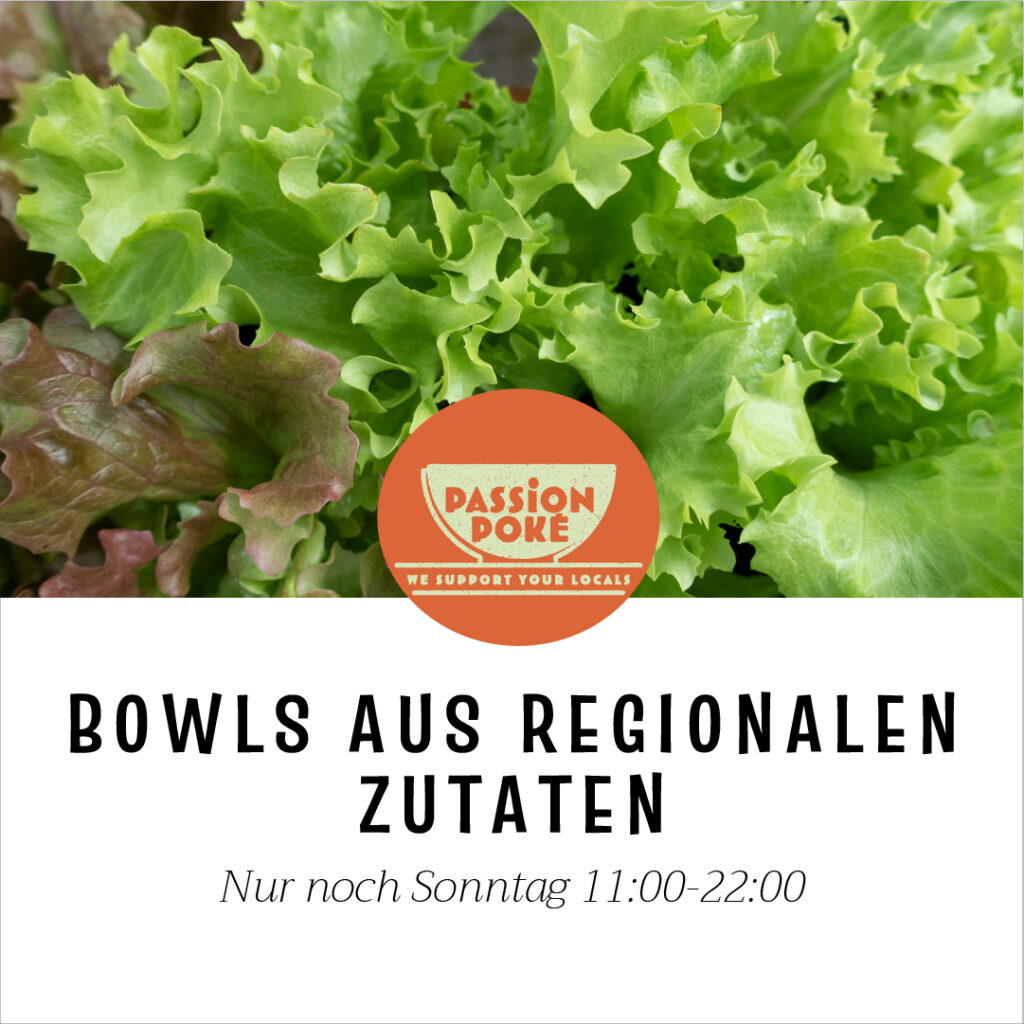 Brand Building, Content Design und Brand Identity