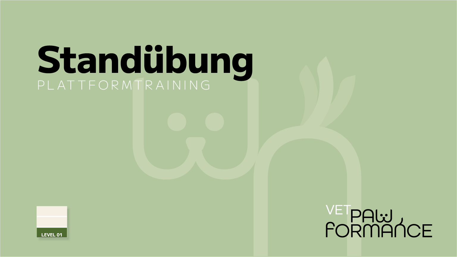 Video Titel Plattformtraining Hunde-Physiotherapie im Brand Design